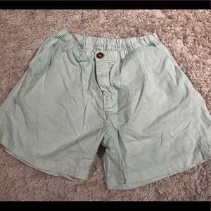 Men’s Mint Green “Chubbies” Shorts - Large